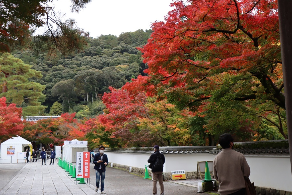 永観堂禅林寺