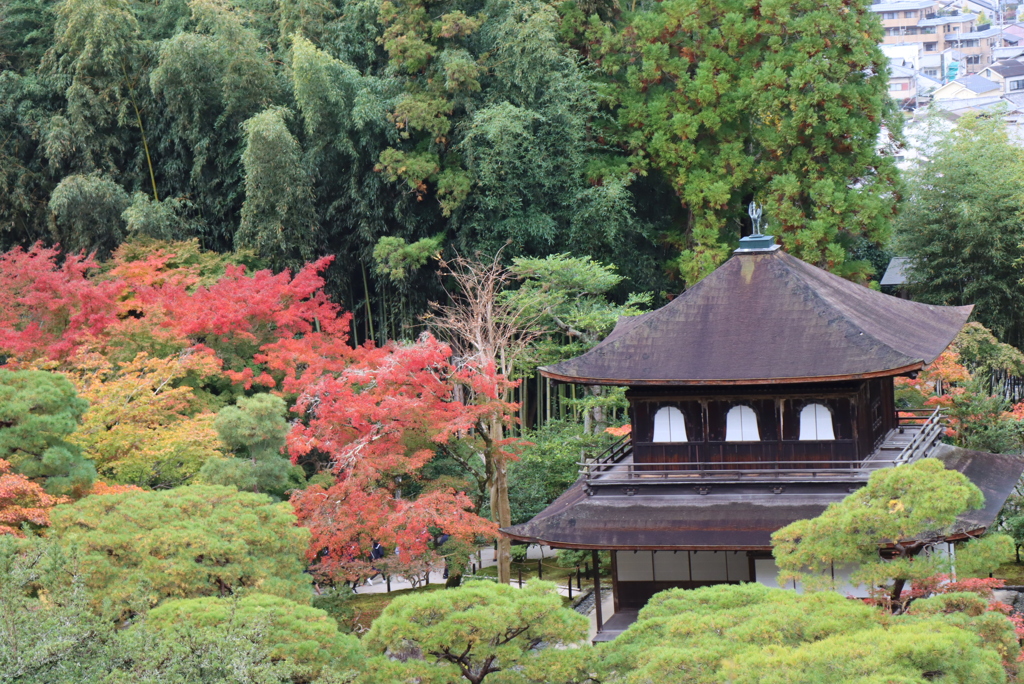 銀閣寺①