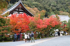 永観堂禅林寺①