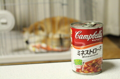 大好きなんです＾＾