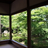 宝泉院②