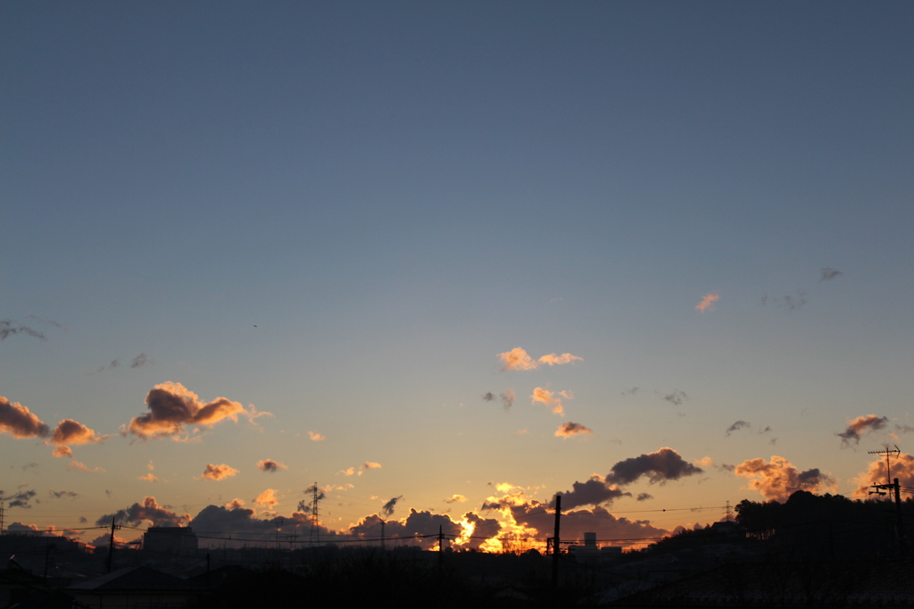 寒い朝でした・・