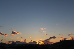 寒い朝でした・・