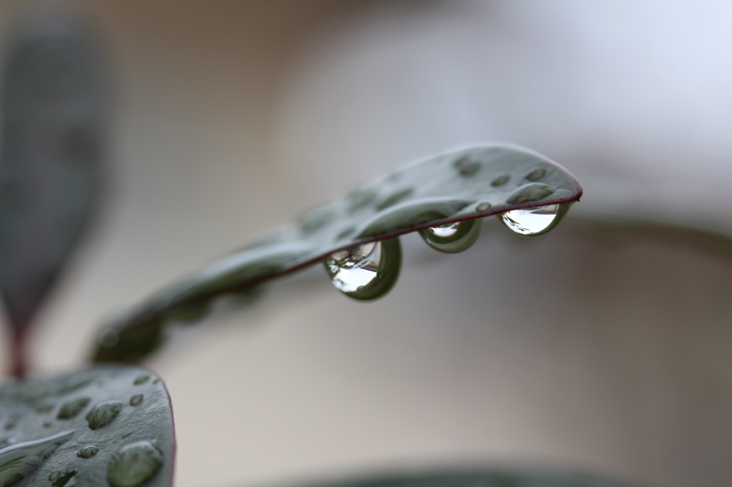 雨ですね・・・