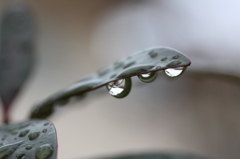 雨ですね・・・