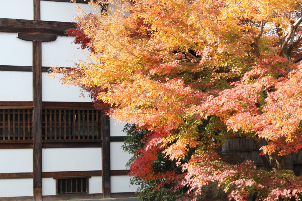 天龍寺②