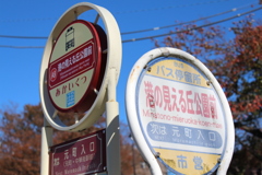 バスを使って散策