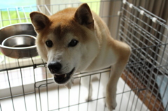 昨夜は怖かったね・・
