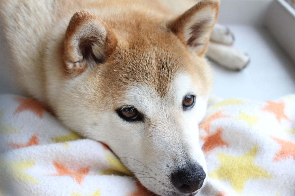 ねむい・・・