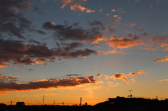昨日の朝