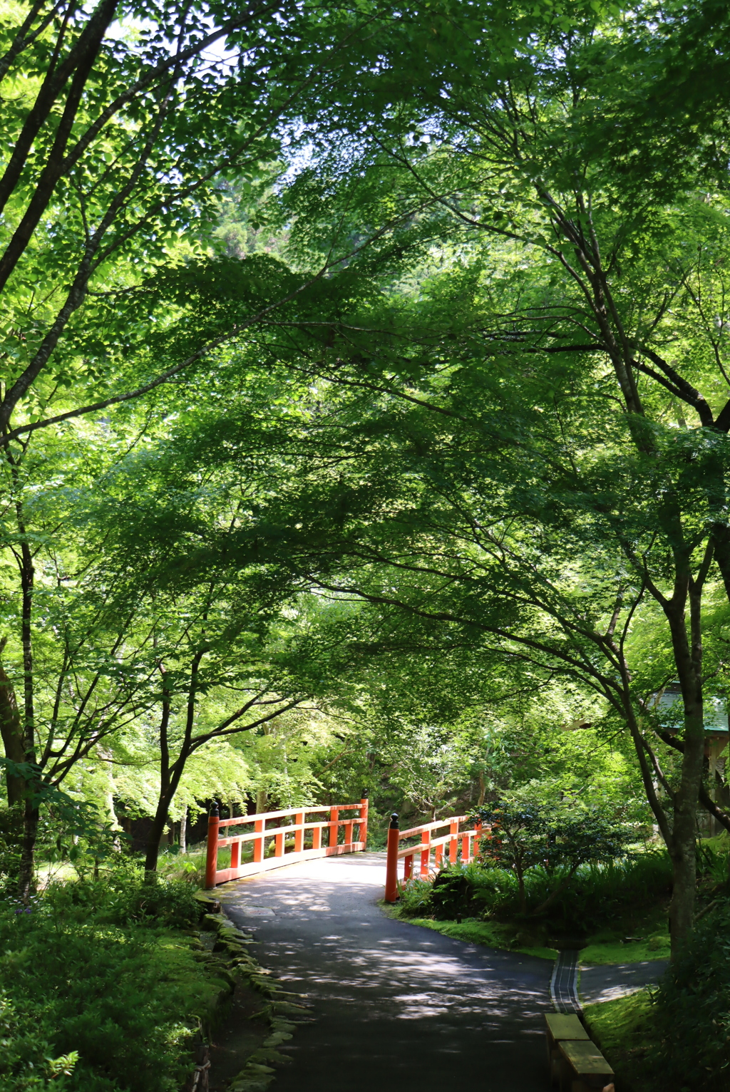 大原三千院②