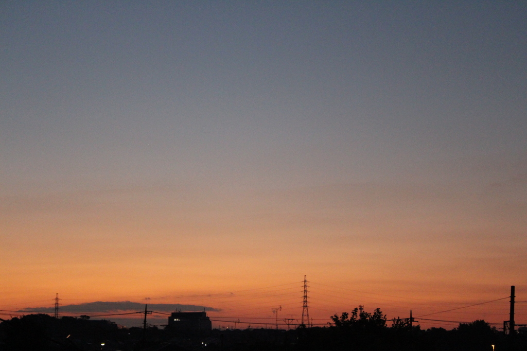 今日の朝＾＾