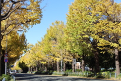 山下公園通り②