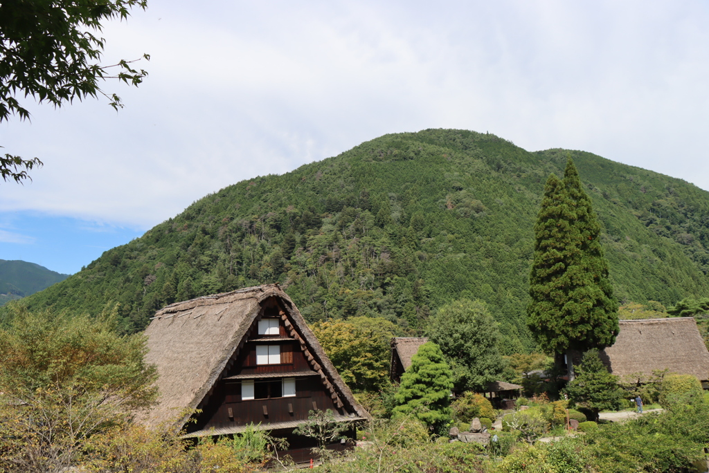 下呂温泉 合掌村③