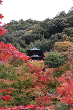 永観堂禅林寺