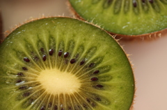 ヨーグルトといただきます＾＾