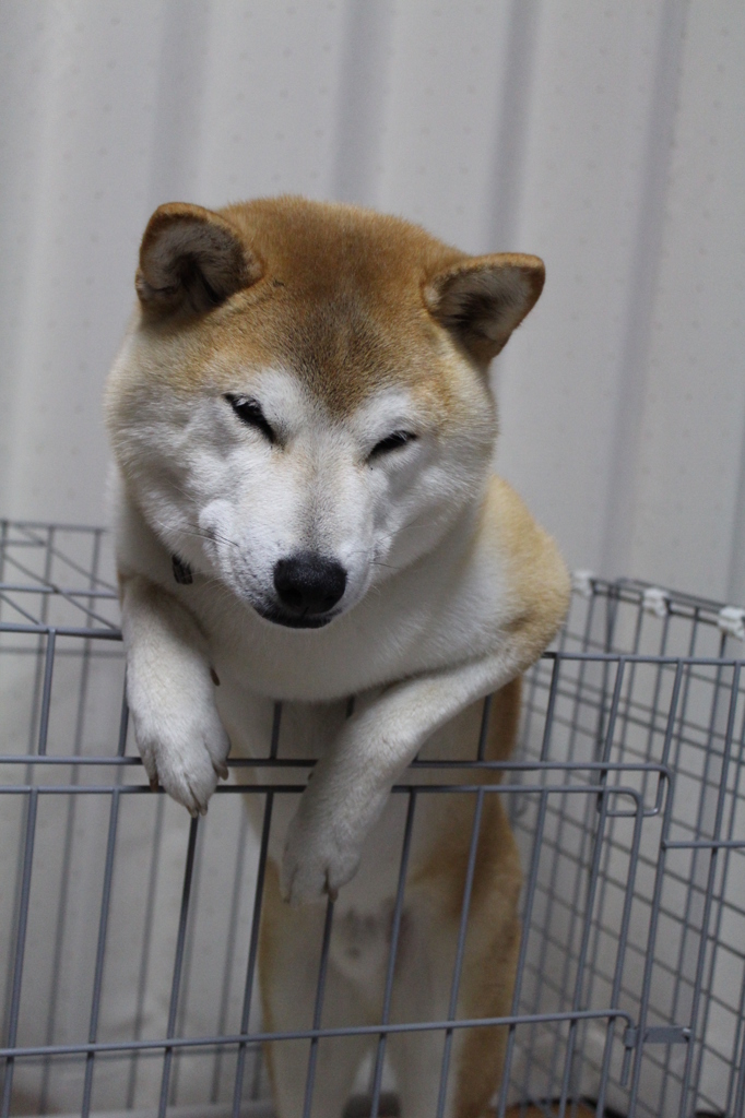 寝てません・・・