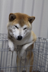 寝てません・・・