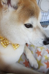 サロンでシャンプー＾＾