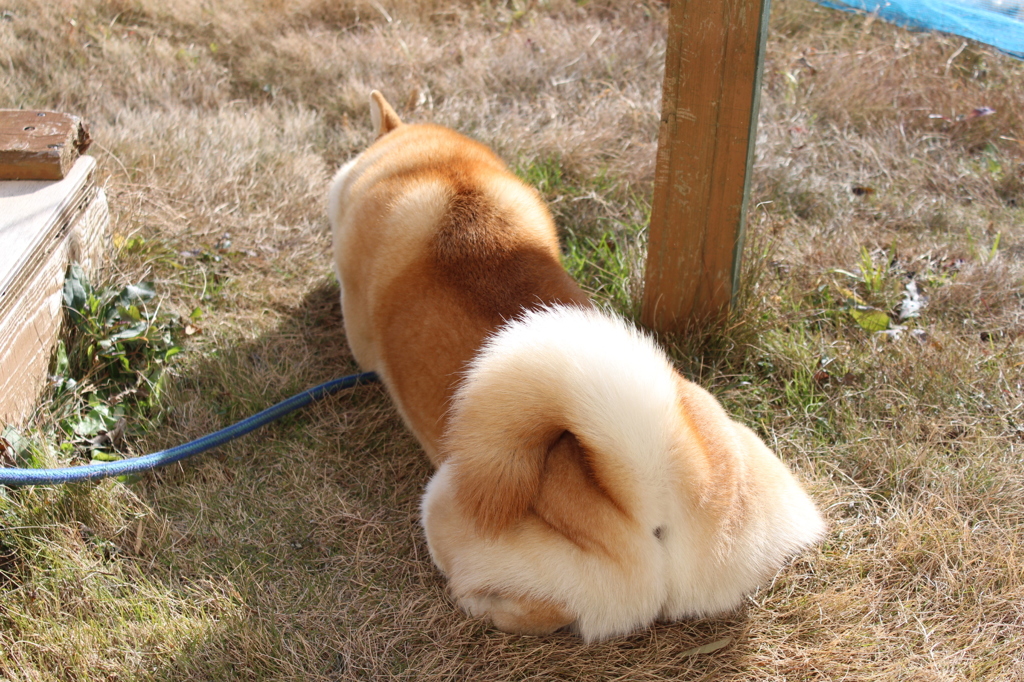 何してる？？