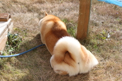 何してる？？