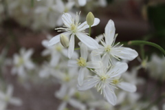 花火みたい＾＾