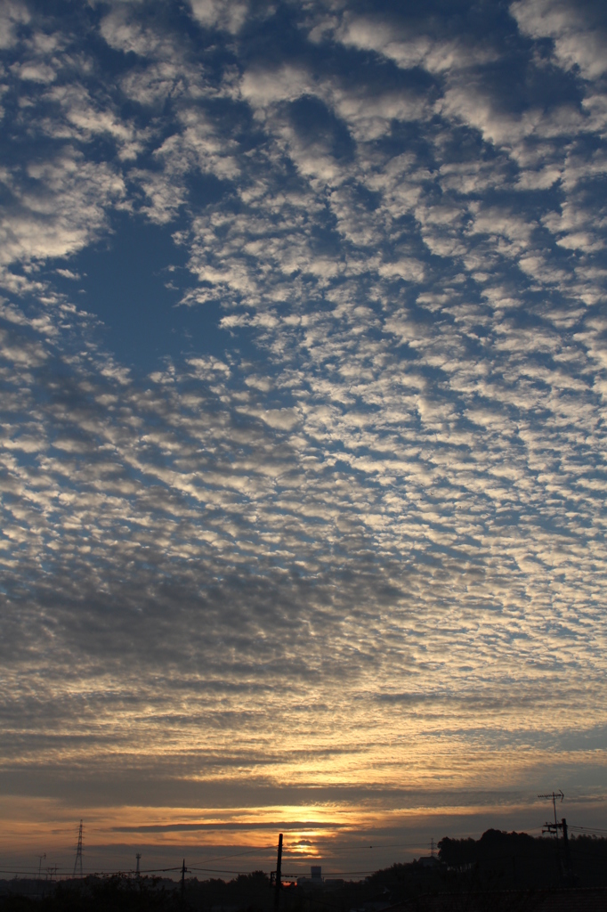 今朝の空