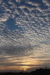 今朝の空