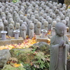 長谷寺③