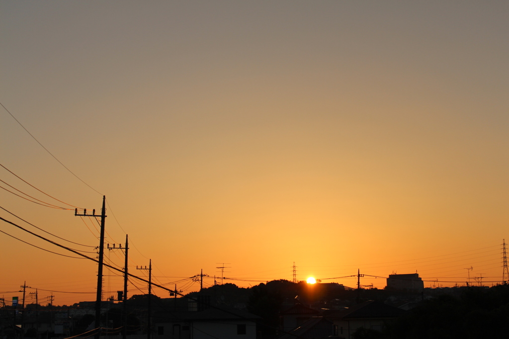 今日の朝日だよん＾＾