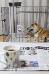 夜明けのコーヒー