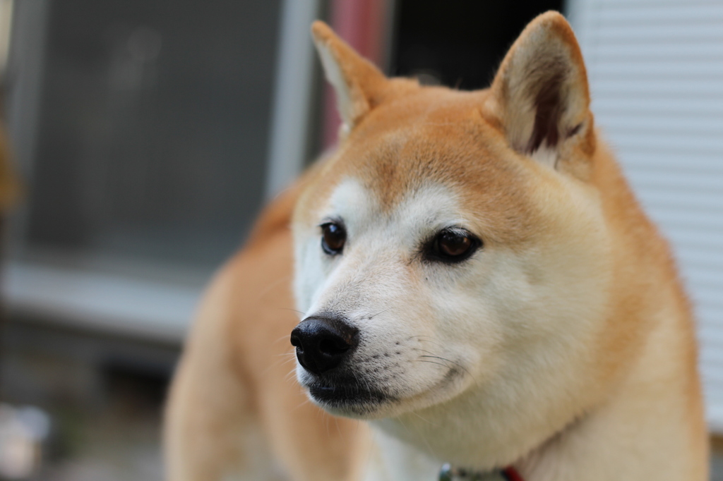 お外がいいね＾＾