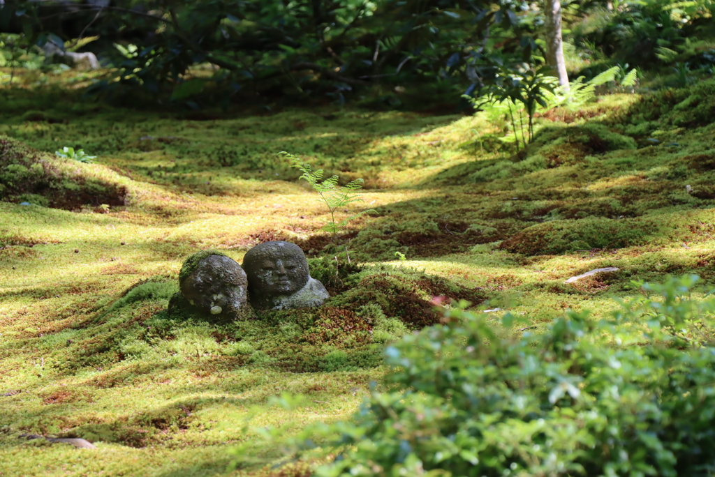 大原三千院①