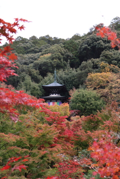 永観堂禅林寺