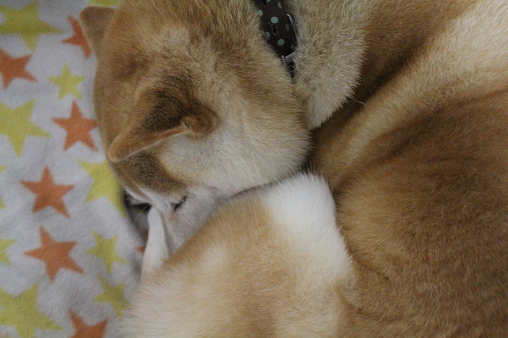 冬が来た＾＾