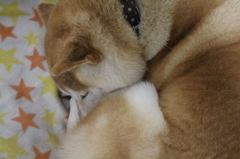 冬が来た＾＾