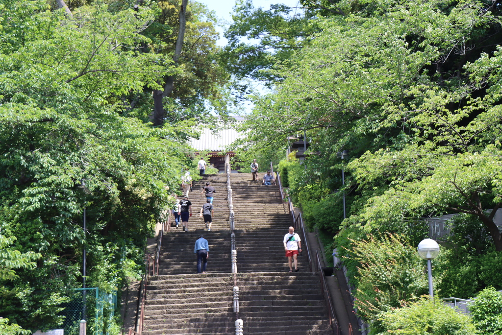 本門寺①