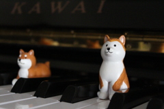 ソーシャルディスタンス