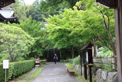 また行きますね。