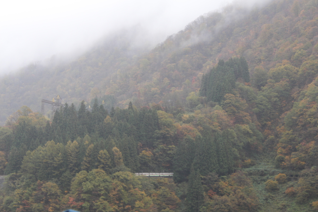 雨の中・・トロッコが見える