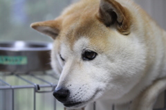 毎度毎度の写真です・・・①
