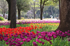 2013春　横浜