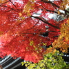 長谷寺②