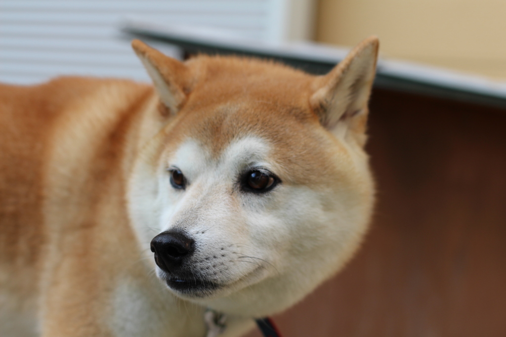 気になる・・・・