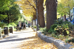 山下公園通り①