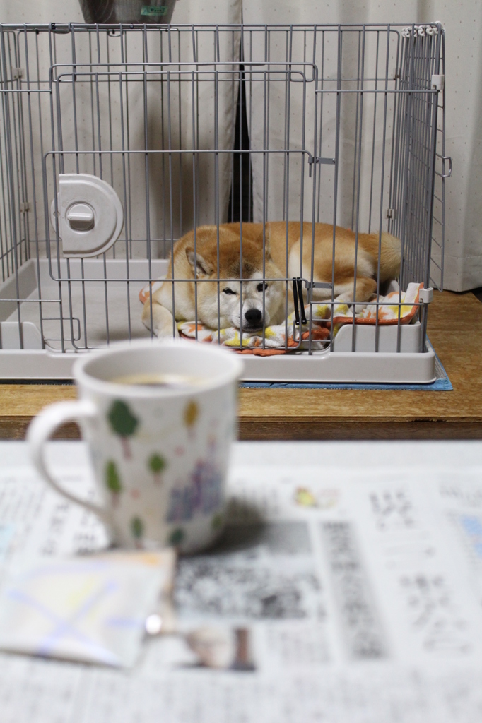 なぜか今日はカメラ目線・・