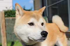 母ちゃん早く掃除終わらせなよ・・・