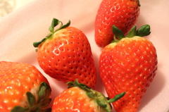 いちご