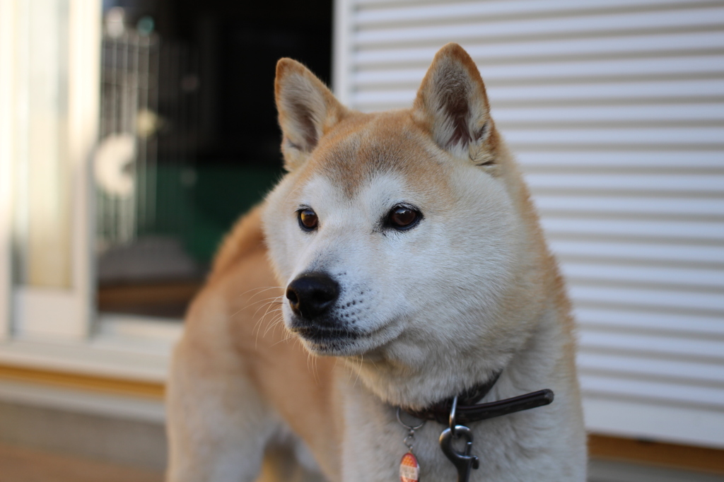 お久しぶりです