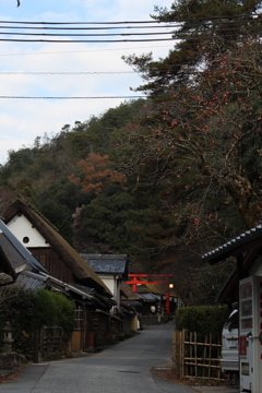 愛宕神社一の鳥居③